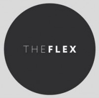  ( ) THE FLEX